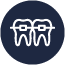 Orthodontie Icon